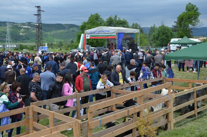 DSC 0107